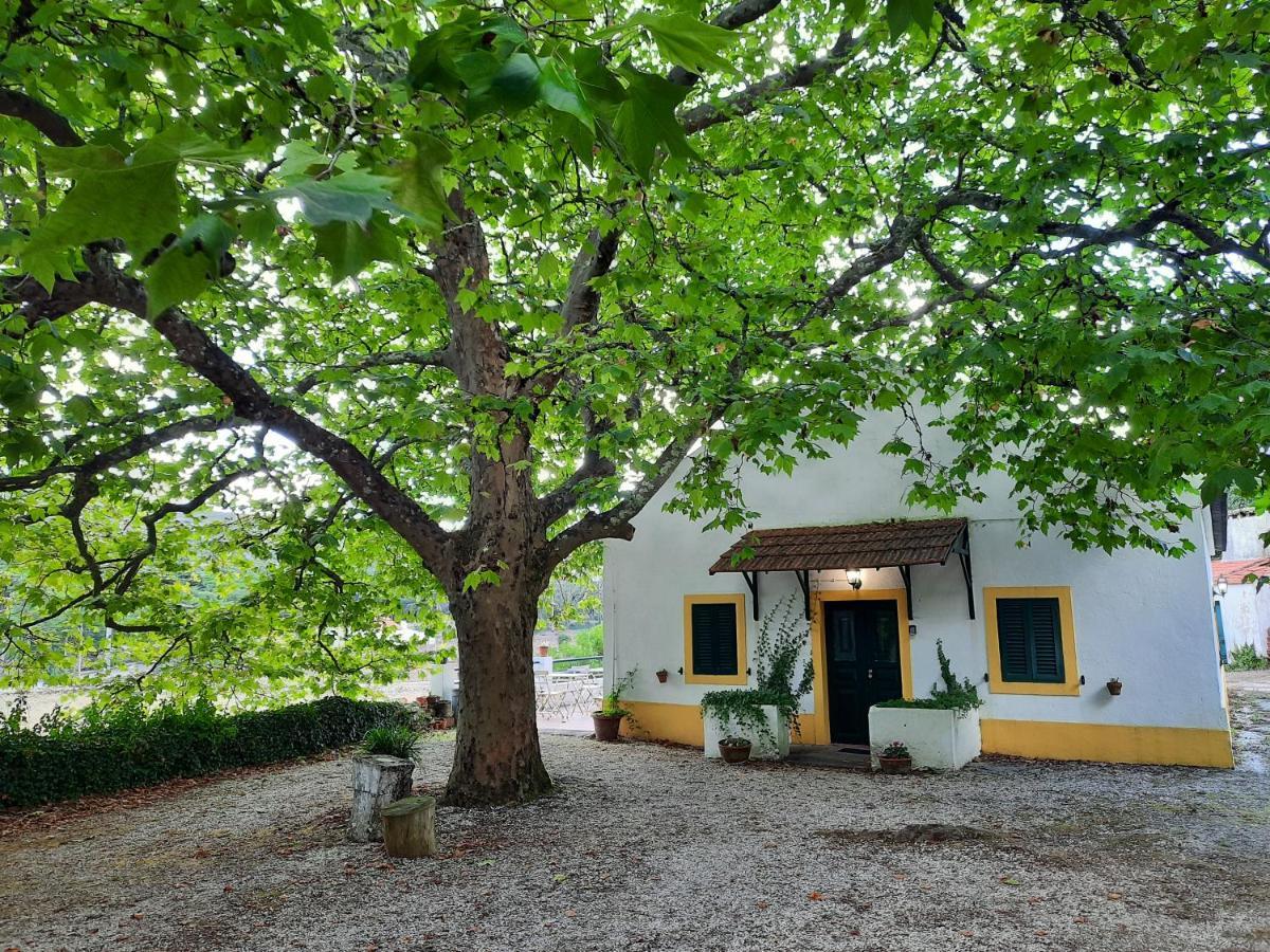 Montejunto Villas - Casa Do Platano Cadaval Екстер'єр фото