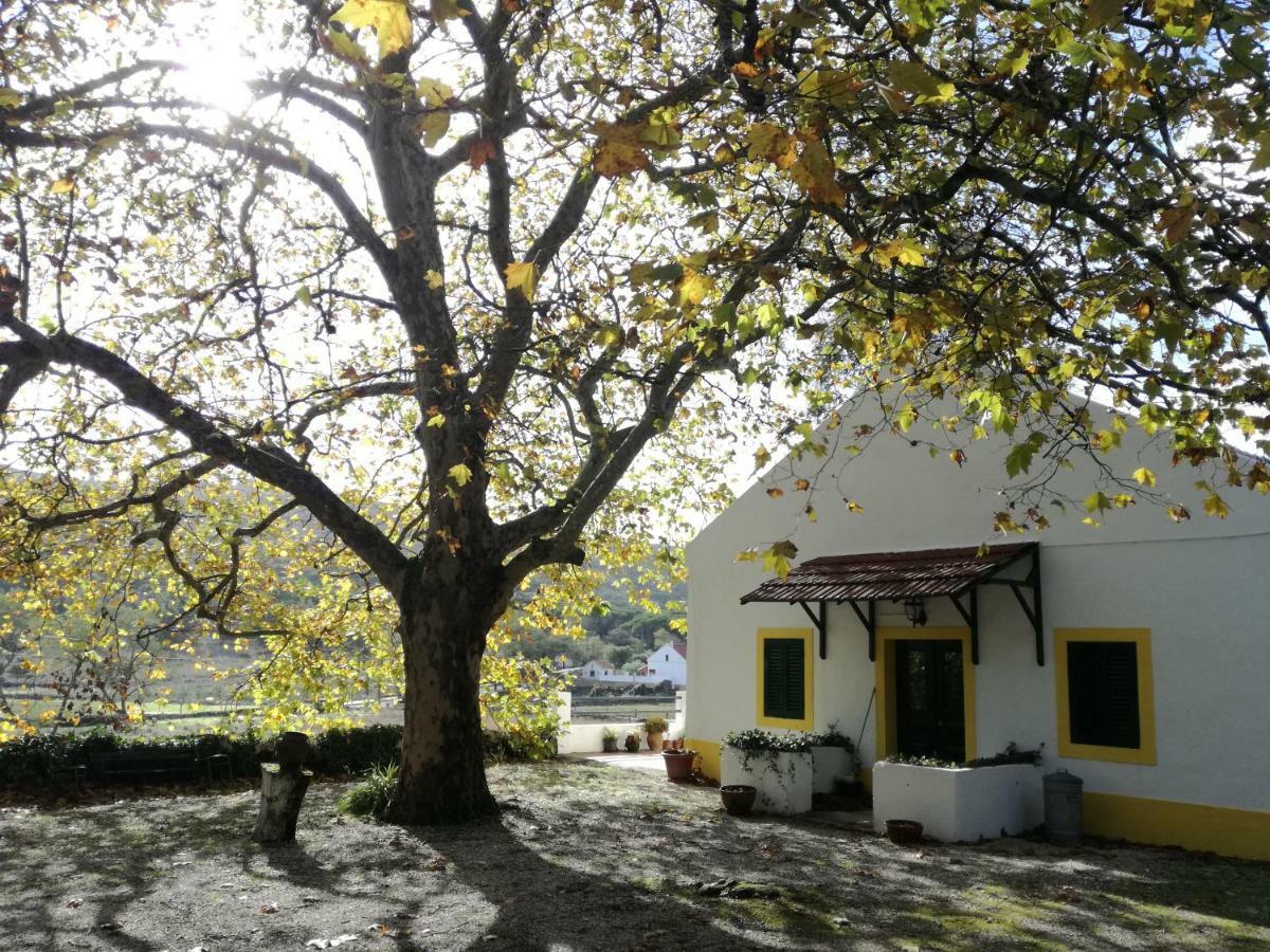 Montejunto Villas - Casa Do Platano Cadaval Екстер'єр фото