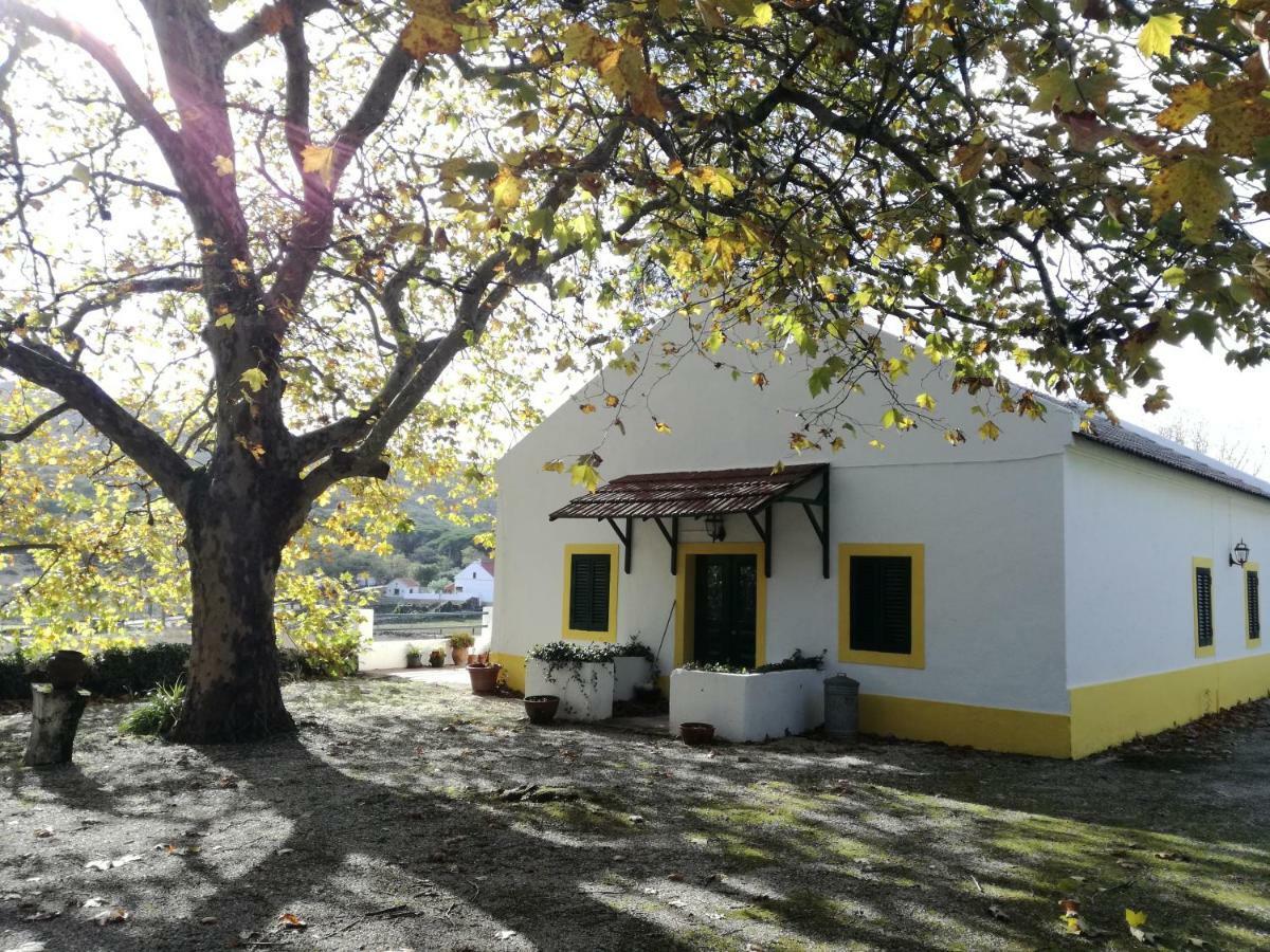 Montejunto Villas - Casa Do Platano Cadaval Екстер'єр фото