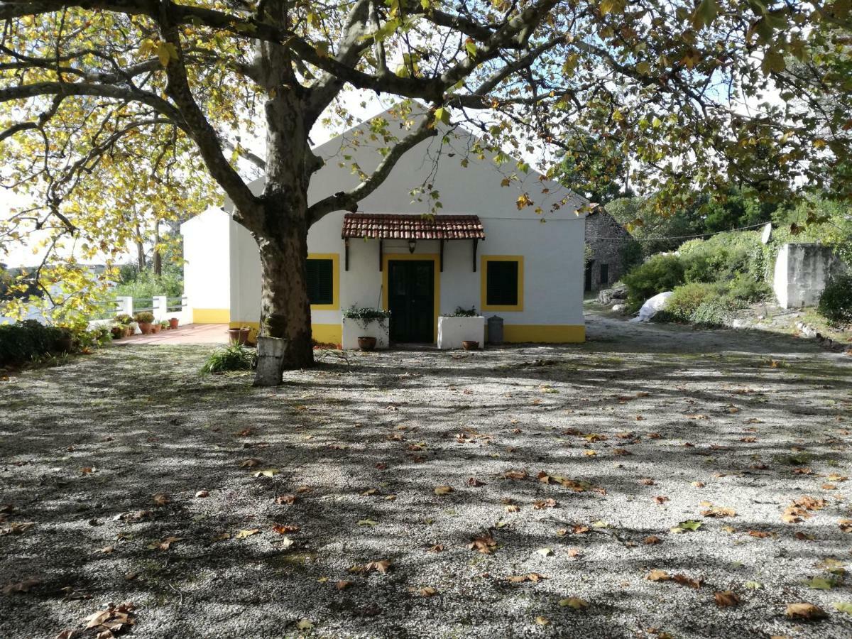 Montejunto Villas - Casa Do Platano Cadaval Екстер'єр фото