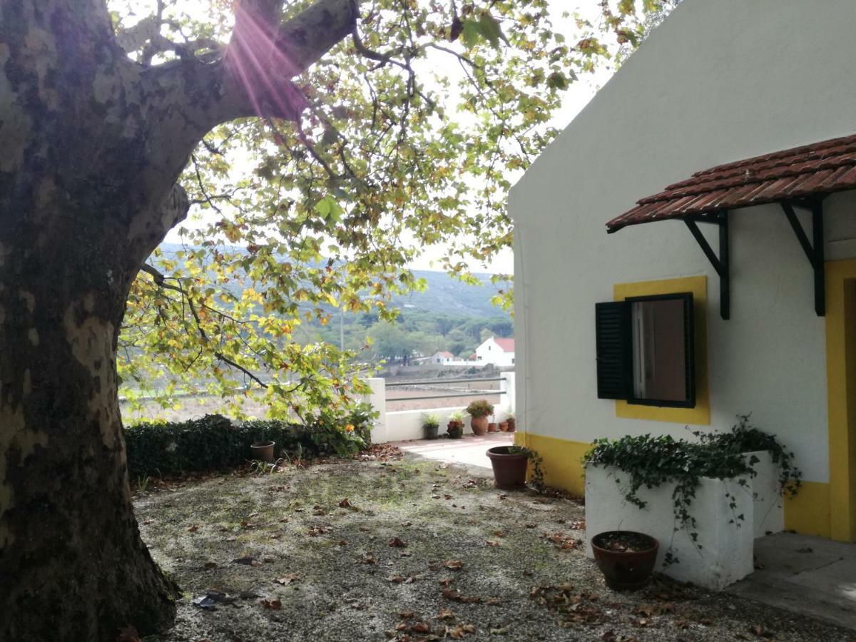 Montejunto Villas - Casa Do Platano Cadaval Екстер'єр фото